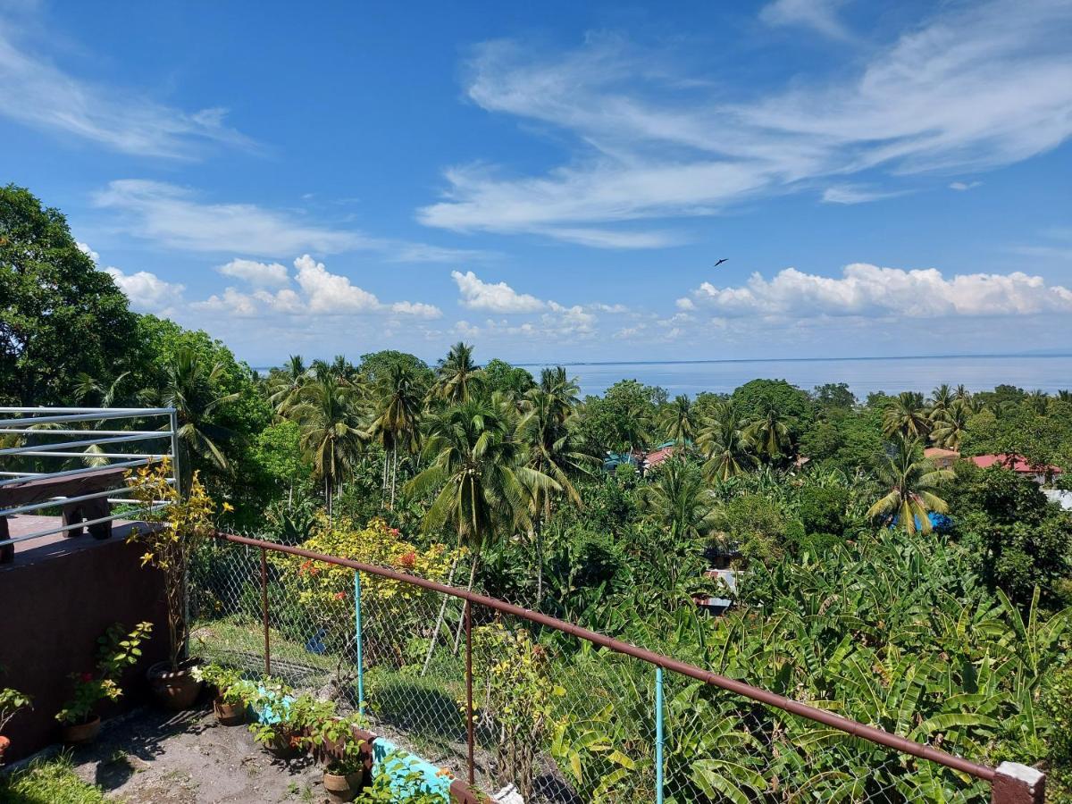 Island Samal Overlooking View House With Swimming Pools San Antonio  Exteriör bild